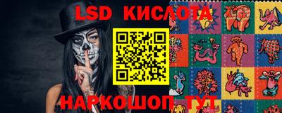 PSILOCYBIN Краснознаменск