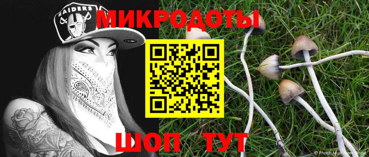 Псилоцибиновые грибы Psilocybe  Галлюциногенные грибы мицелий  Вход с VPN  Железногорск 